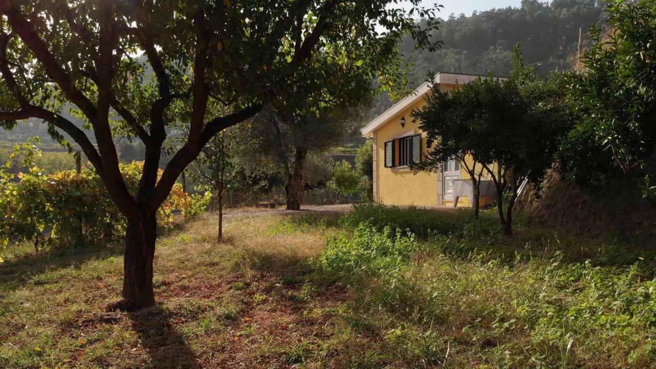 Vila Casa Dos Limoeiros Em Ribas Celorico De Basto Exteriér fotografie